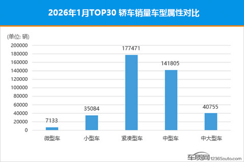 2026年1月TOP30轿车销量投诉量对应点评