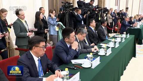 国轩高科董事长出席中德经济顾问委员会座谈会，共话新能源合作新路径