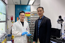 科大创新钙离子电池技术 大幅提升储能效率和可持续性