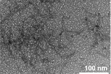 哥伦比亚大学开发出新型电解质 助力无阳极锂电池更强劲、更安全