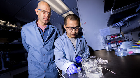 【全球汽车新技术观察】2月上期〡梅赛德斯-奔驰申请头部按摩座椅专利；比亚迪发布天神之眼5.0 ；研究团队将薰衣草废料转化为钠电池阳极材料