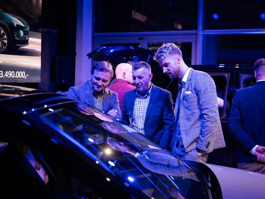 新势力入欧，都动真格了