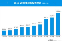 2025年度国内轿车投诉分析报告