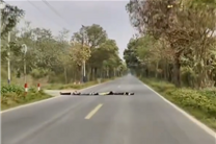 小鹏辅助驾驶突然触发减速绕行 车主接管靠近一看冷汗直流