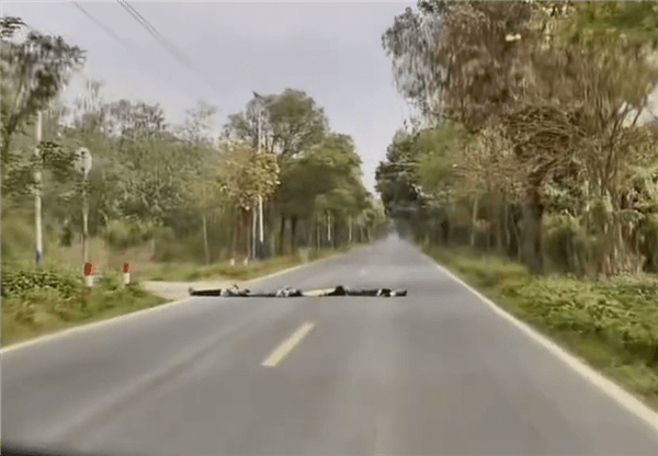 小鹏辅助驾驶突然触发减速绕行 车主接管靠近一看冷汗直流