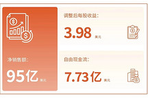 塞拉尼斯2025年净销售额95亿美元，同比下降7%