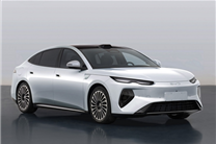 高度还原概念车 比亚迪海豹08申报：二代刀片闪充9分满血