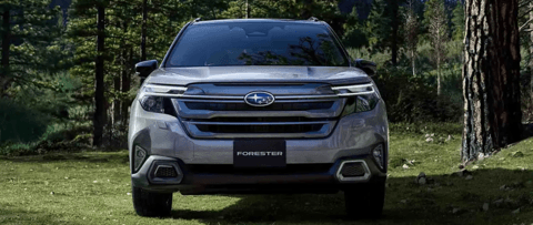 斯巴鲁终止日本市场WRX S4及S4 STI Sport车型订单