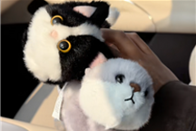 小米汽车太会了！新小米SU7磁吸萌宠实拍 哪个女生能拒绝