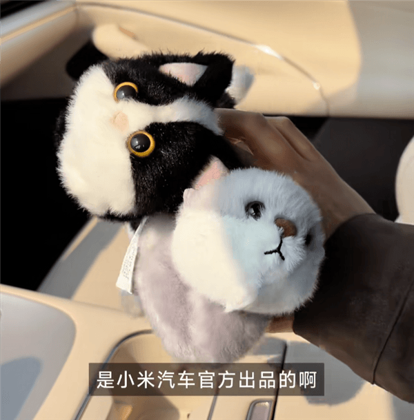 小米汽車太會了！新一代小米SU7磁吸萌寵實拍 哪個女生能拒絕