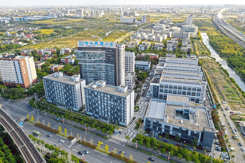 上海：构建开源“大脑”与数字生态池