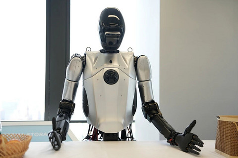 上海：构建开源“大脑”与数字生态池