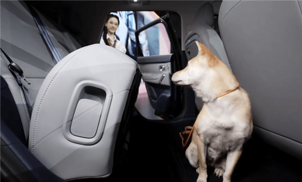 激光雷达打进8万时代 续航505km！零跑A10上市：6.58万起