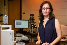 田纳西大学开发解决方案 提高嵌段共聚物的离子电导率