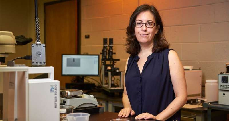 田纳西大学开发解决方案 提高嵌段共聚物的离子电导率