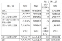 赛力斯2025年：营收创新高，盈利结构有变