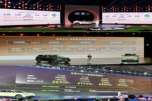 低端电车崩了，跑步入场的零跑奇瑞怎么办