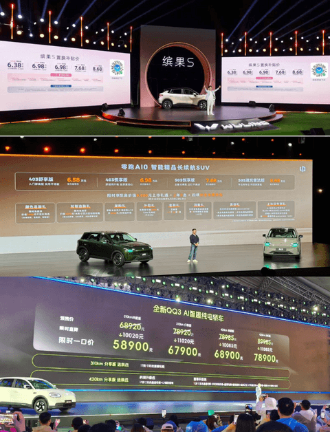 低端电车崩了，跑步入场的零跑奇瑞怎么办