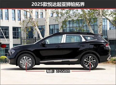 起亚狮铂拓界新老款车型对比