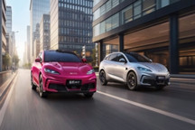 比亚迪双豹上市：技术下放的关键落子，旅行车赛道的主动卡位