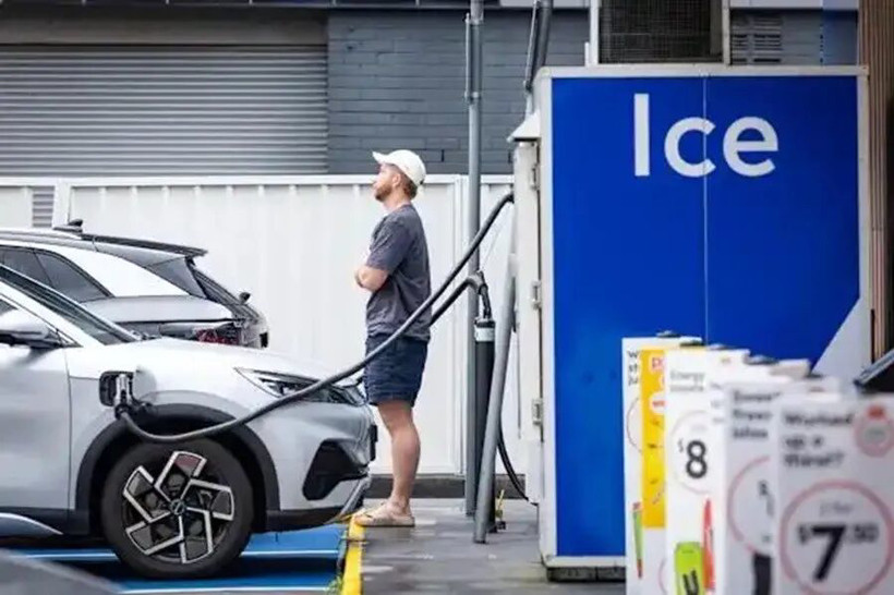 中国新能源汽车，接住了这泼天富贵