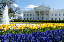 200亿关税退款即将开申！美国车企的“及时雨”，还是“空头支票”？