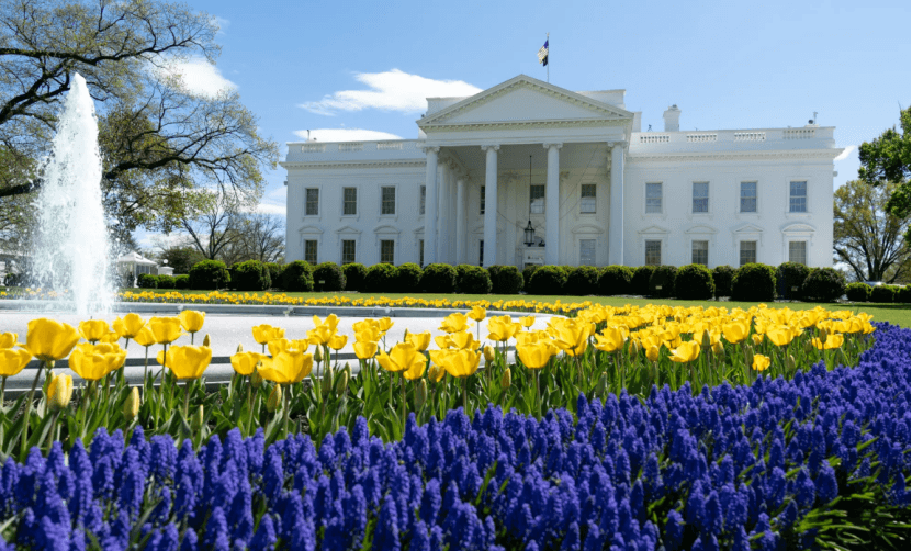 200亿关税退款即将开申！美国车企的“及时雨”，还是“空头支票”？