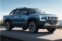 BYD让非洲人学会了你好 小迪！网友：这才是最好的文化输出