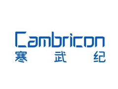 寒武紀陳天石回應(yīng)互聯(lián)網(wǎng)大廠自研芯片：我們提供多樣化AI芯片解決方案