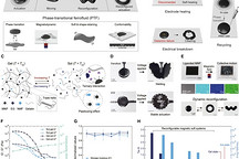 研究人员开发类似黏液的人工肌肉 可实时改变形状、自我修复和重复使用