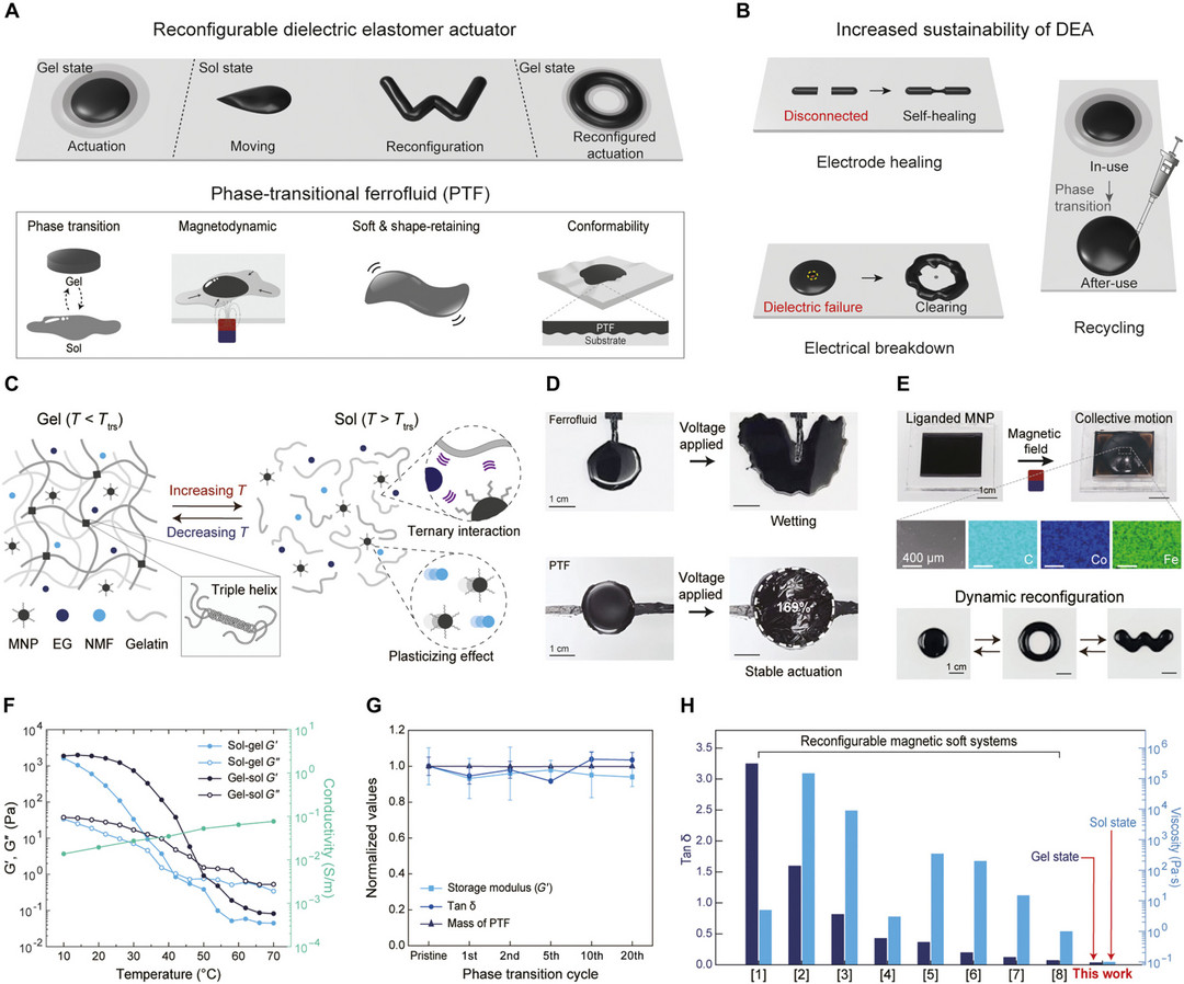 研究人员开发类似黏液的人工肌肉 可实时改变形状、自我修复和重复使用