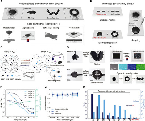 研究人员开发类似黏液的人工肌肉 可实时改变形状、自我修复和重复使用