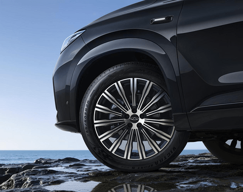 拒绝套路，起步即满配！全新一代瑞虎9正式上市