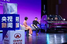 魏建军：怕产品交付后翻车