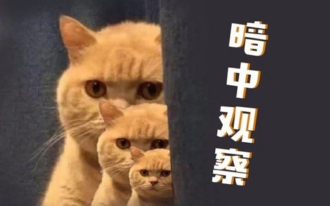 “开了电动车，就再也回不去了”