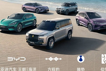 王传福：比亚迪五年内将成全球最大车企