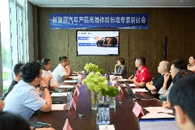 掌握新能源汽车高端定义权——“新能源汽车高端体验行业标准”研究工作正式启动