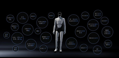 人形机器人，价格真崩了？