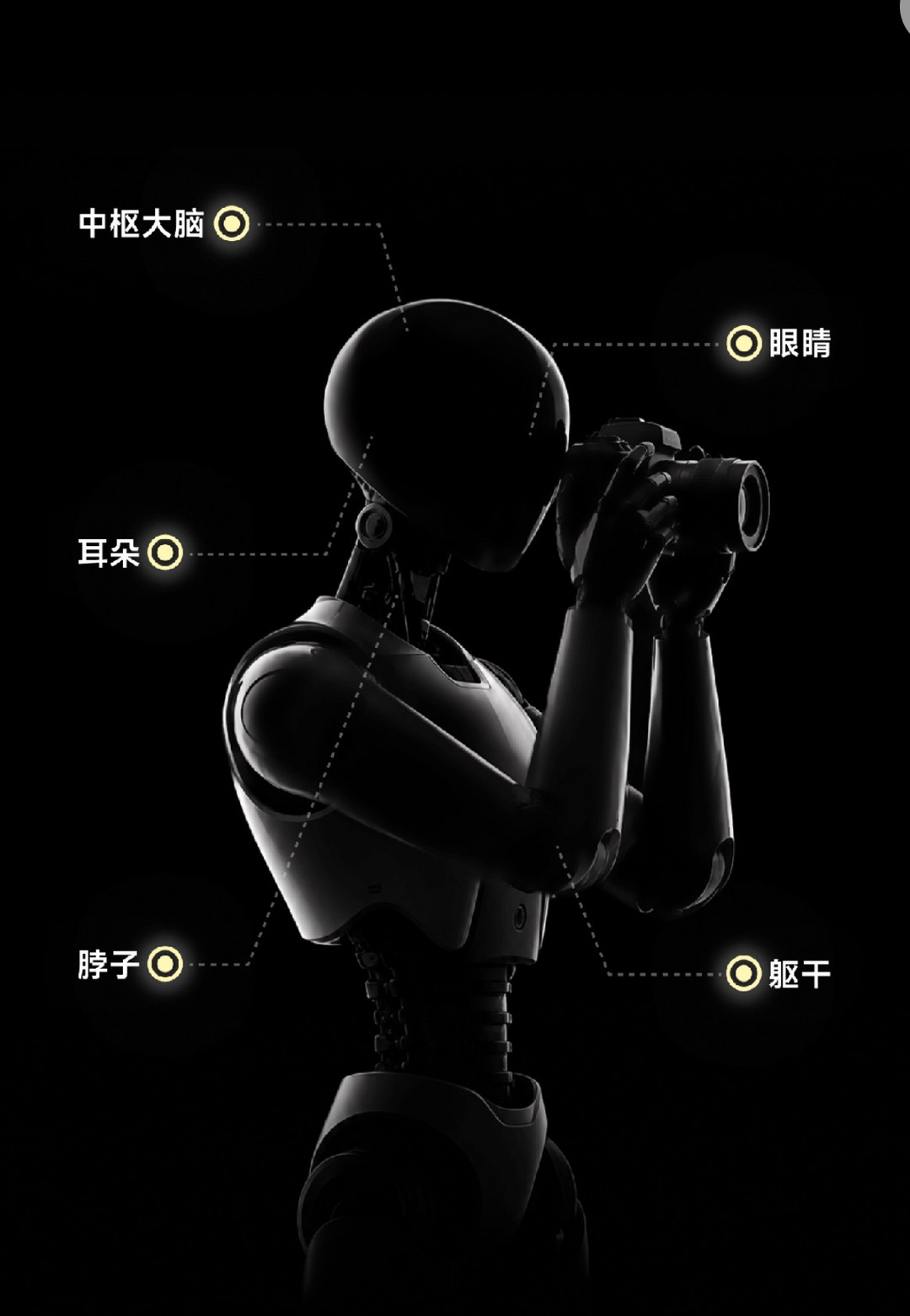 影石11周年，官宣入局机器人