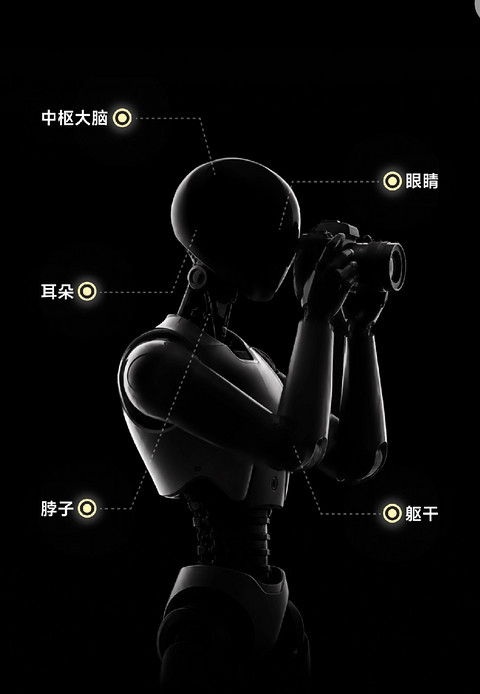 影石11周年，官宣入局机器人