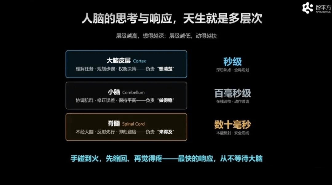 VLA还没死，WAM也没立，物理AI终局尚早