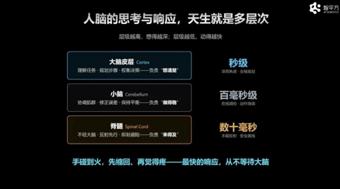 VLA还没死，WAM也没立，物理AI终局尚早