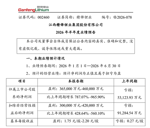 赣锋锂业上半年预计扭亏为盈，净利润最高或达46亿元
