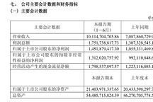 璞泰来2026年上半年净利14.52亿元，同比增长37.58%
