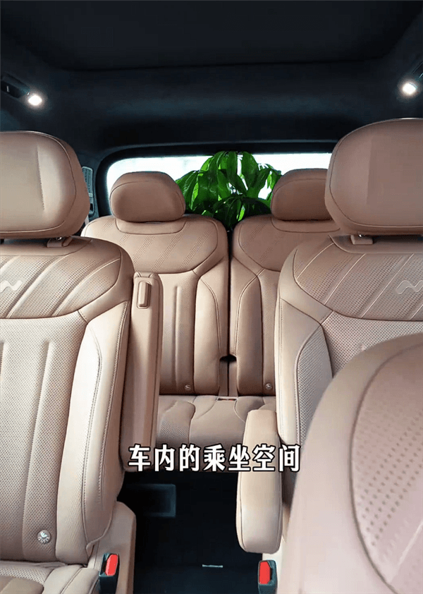 比小米澎程N90还简单 沈斐：将发财树装进乐道L90里仅需三步
