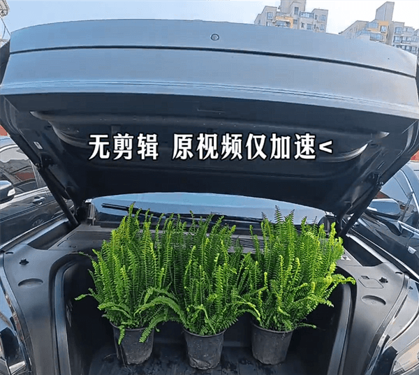 比小米澎程N90还简单 沈斐：将发财树装进乐道L90里仅需三步
