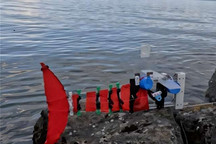 纽约大学坦登工程学院研发ScaFi仿鱼水下机器人 可实现5倍尺度扩展适配溪流与湖泊场景