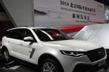 停产五年后，众泰把命运押向海外