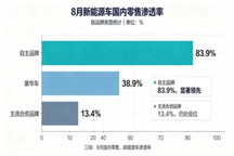合资新能源：60%的车型月销不过千