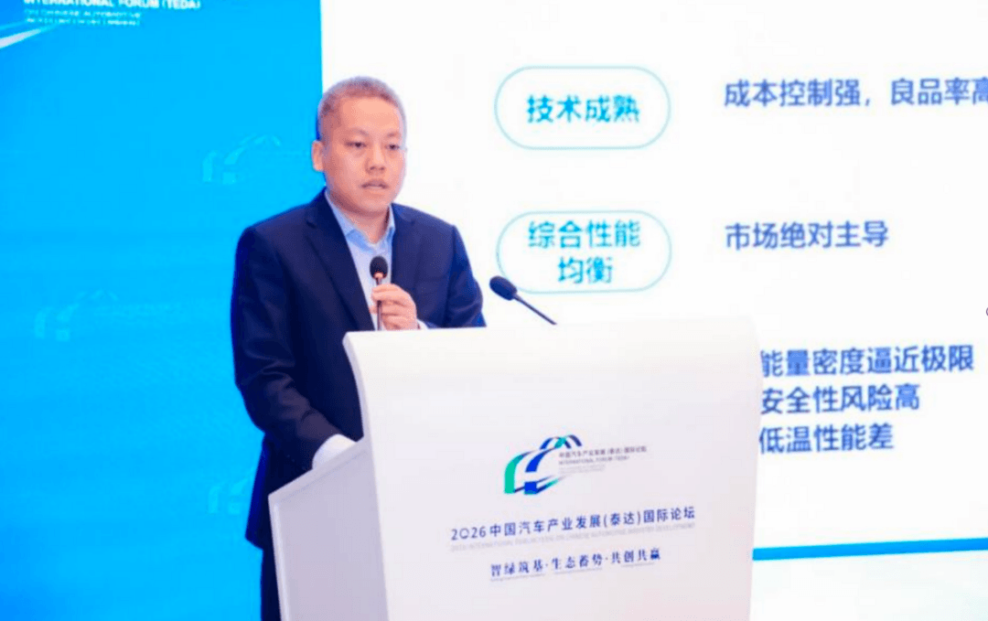 王亮亮：动力电池出海需补齐海外专利布局｜2026泰达论坛